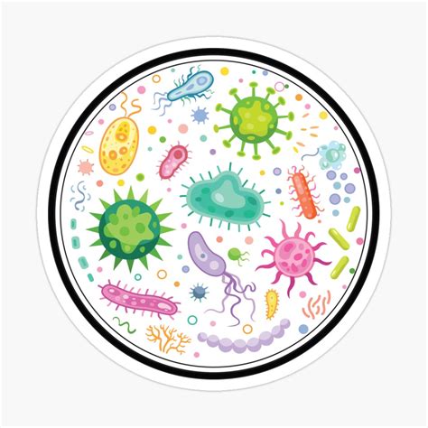 Microbiology Bacteria PNG Clipart Area Bacteria Bacteriology Clip Art Library