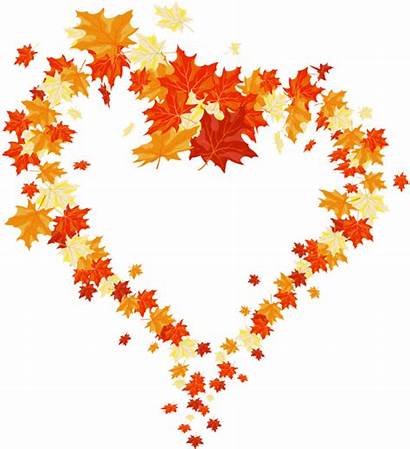Heart Leaves Autumn Leaf Transparent Fall Thanksgiving