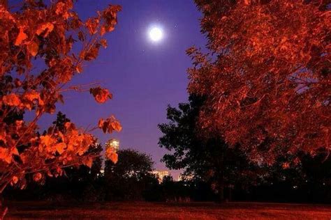 Fall Nights In October Sky Gazing Autumn Scenes Autumn Night