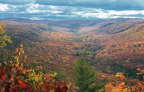 Hd Wallpaper Forest During Fall Mountain Trail Pennsylvania Union