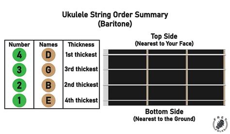 Ukulele String Order Guide Chart W Name Number Thickness Fret Folks