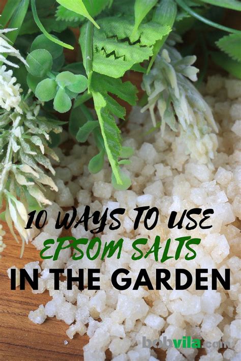 10 Ways To Use Epsom Salts In The Garden Plant Benefits Vertical Vegetable Gardens Gardening