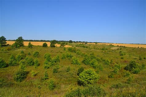 A Ravine In The Forest Steppe Of Tula Oblast Мирослав Стаменов Flickr