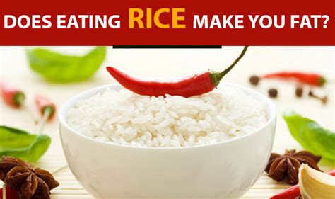 Does Eating Rice Make You Fat The Wellness Corner