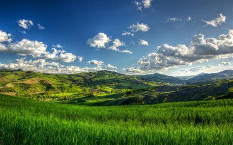 Hills Summer Green Fields Tree Clouds Wallpaper Nature And