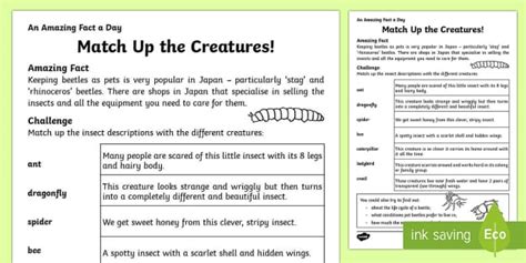 Minibeast Matching Worksheet Teacher Made Twinkl