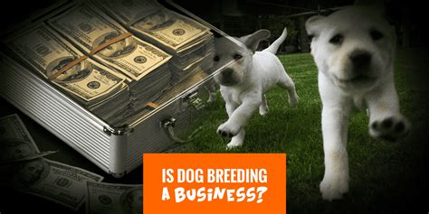 When Does Dog Breeding Become A Business