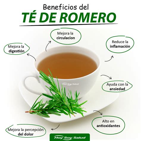 Beneficios del Romero y Cómo Preprar un Té de Romero HOYSOY NET