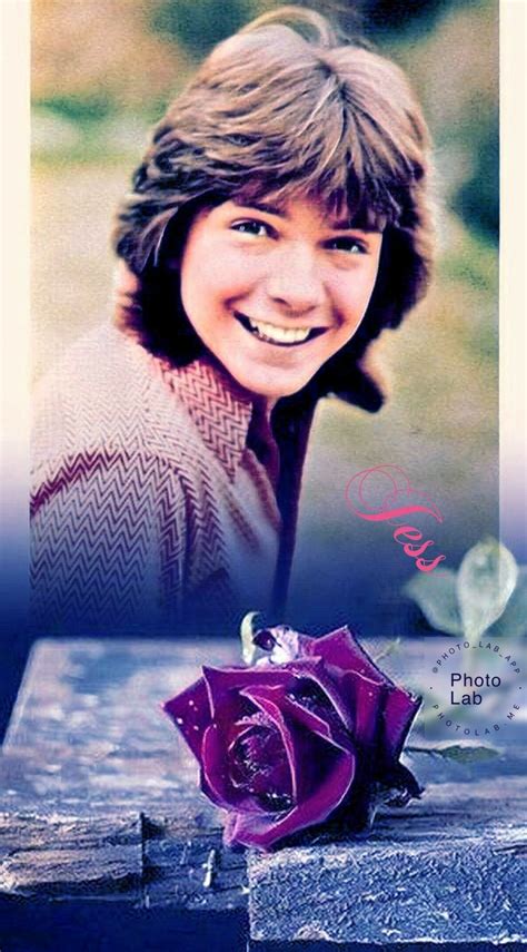 David Cassidy Zelda Characters Fictional Characters Movie Posters Movies Art Art