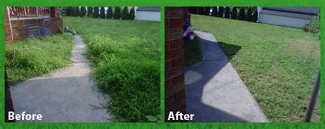 Before And After Tiger Pops Lawn Care