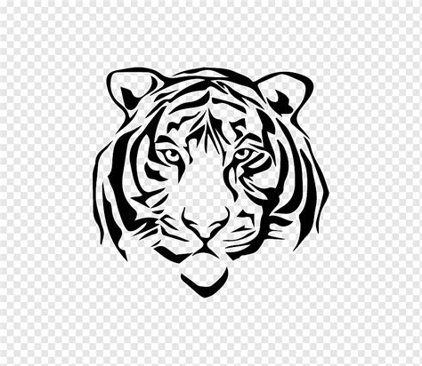 Sketsa Gambar Harimau Putih Harimau Putih Mamalia Wajah Png PNGWing