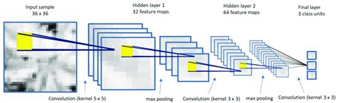 Example Of The Convolutional Neural Network Cnn Model Architecture