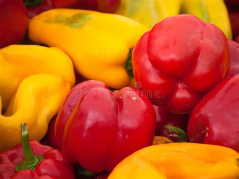 Red And Yellow Bell Peppers Stock Photo Image Of Burning Spicy 11028262