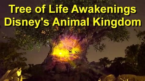 Tree Of Life Awakenings Disneys Animal Kingdom Walt Disney World Low