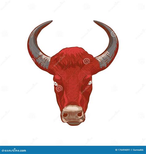 Bull Head Vector Illustration Stock Vector Illustration Of Nature