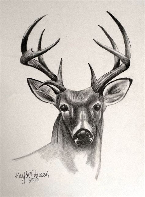 Deer Antlers Drawing At Getdrawings Free Download