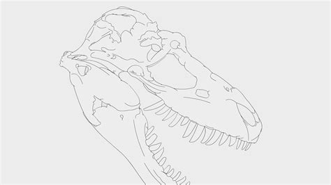 Go to adobe animate user guide. Dinosaur head, made in Adobe Animate - YouTube