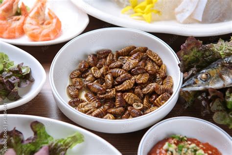 Korean Style Side Dish Beondegi Steamed Silkworm Chrysalis 번데기 Stock