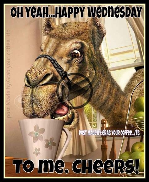 Enjoy Your Wednesday Humpday In 2020 Hump Day Quotes Funny Hump