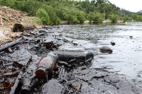 Dealing With An Oil Spill Trinidad And Tobago Newsday