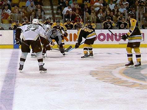 Official facebook page of the boston bruins. Boston Bruins - Simple English Wikipedia, the free encyclopedia