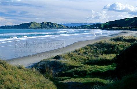 Breaking news and videos of today's latest news stories from around new zealand, including up to date weather, world, sport, business, entertainment, technology life and style, travel and motoring. Wainui Beach, north of Gisborne, Gisborne, Gisborne District, Gisborne Region, New Zealand (NZ ...