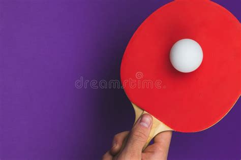 1259 Ball Hand Ping Pong Stock Photos Free And Royalty Free Stock