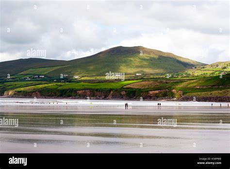 Stunning Scenery Inch Beach In The Dingle Peninsula Ring Of Kerry