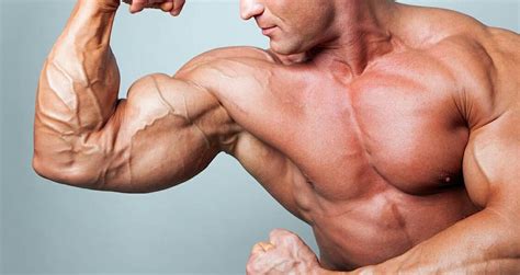High Rated Arms Exercises For Rock Solid Biceps