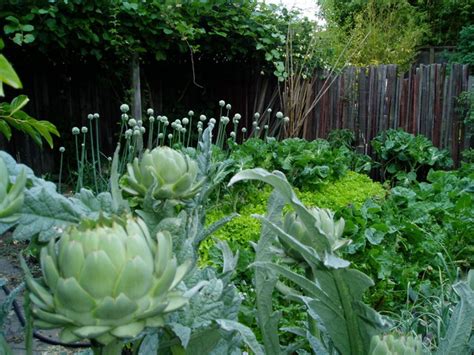 10 Ideas For A Front Yard Edible Garden Your Neighbors Will Love