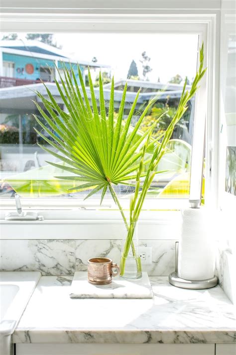 Our Favorite Plant Displaying Ideas Of All Time Apartment Therapy