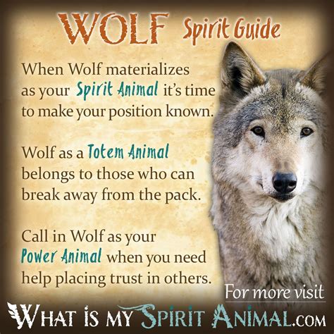 Wolf Symbolism And Meaning Wolf Spirit Animal Wolf Spirit