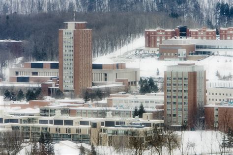 Binghamton University Daily Photo