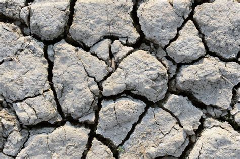 Dry Mud Texture Stock Photo Image Of Close Background 21475886