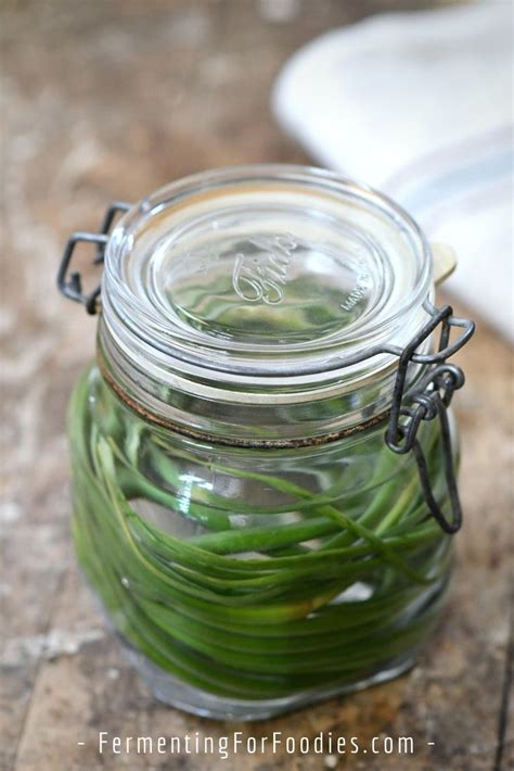 Fermented And Pickled Garlic Scapes Fermenting For Foodies
