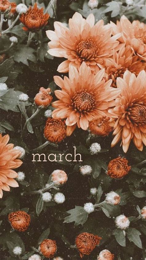 Share 84 March Wallpaper Aesthetic Latest Vn
