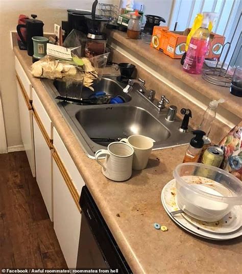 Facebook Is Disgusted By The Dirty Room Of Housemate Who Refuses To Do The Dishes Daily Mail