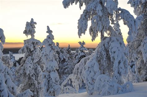 Short Hiking Route In Jyppyrä Hill Offers A Complete View Towards The Great Fells Of Pallas