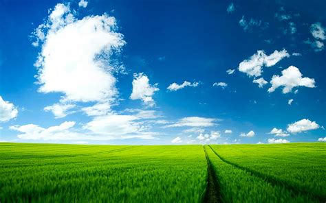 Hd Wallpaper Landscape Photo Of A Green Field Under Cloudy Sky Nature