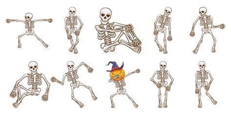 Skeleton Vector Art Icons And Graphics For Free Download