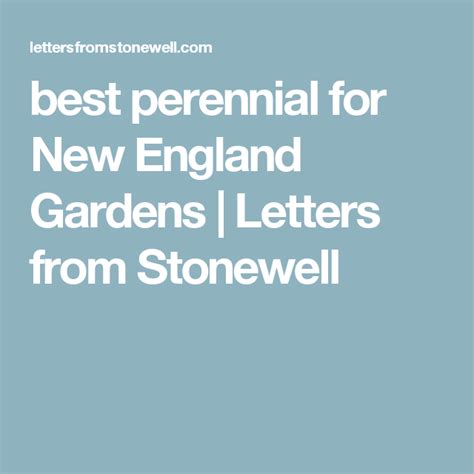 Best Perennial For New England Gardens Letters From Stonewell Best
