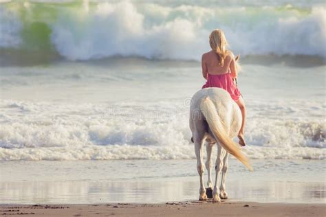 Sexy Junge Frau Die Mit Pferd Am Strand Zu Pferde Geht Stockbild Bild Von Küstenlinie