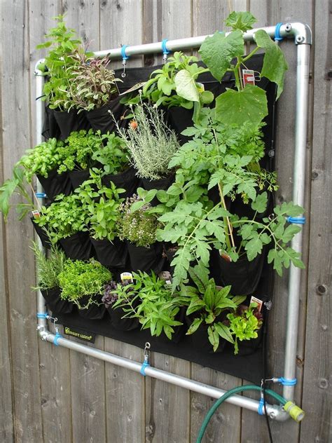 How To Create A Vertical Garden Inside Your Home Vertikaler Garten