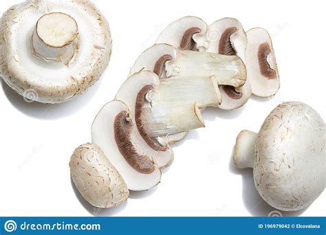 Flat Lay With Fresh Champignons Button Mushrooms Neatly Arranged In A