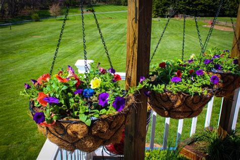 Build A Beautiful Hanging Basket Planter For Displaying Flowers Your