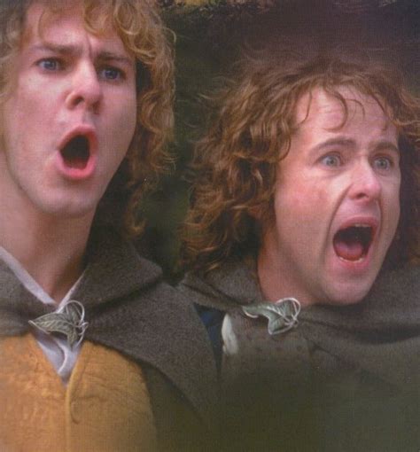 Pippin And Merry Merry And Pippin Photo 7653087 Fanpop