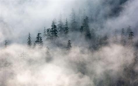 Mountain Covered With Fogs Hd Wallpaper Peakpx