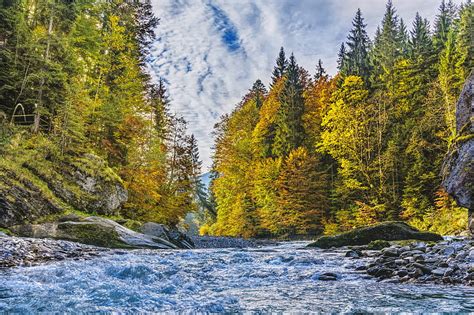 River Surrounded By Trees Hd Wallpaper Peakpx