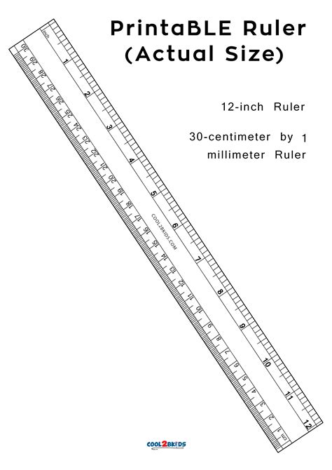 Actual Ruler Size Printable