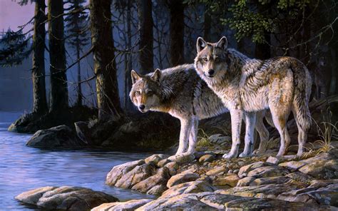 We have a massive amount of desktop and mobile backgrounds. Majestic Wolf Wallpaper ·① WallpaperTag